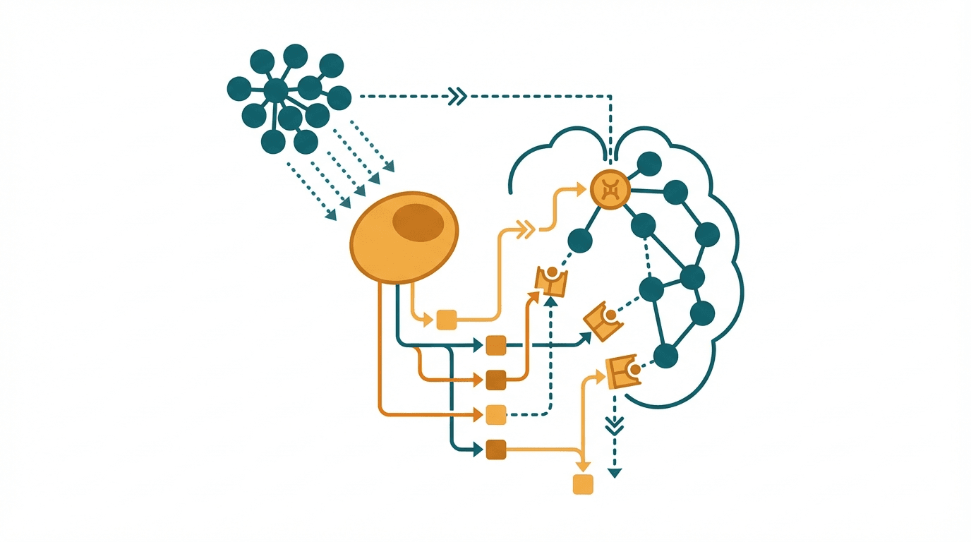 Scientific illustration representing sexual health and related peptide mechanisms